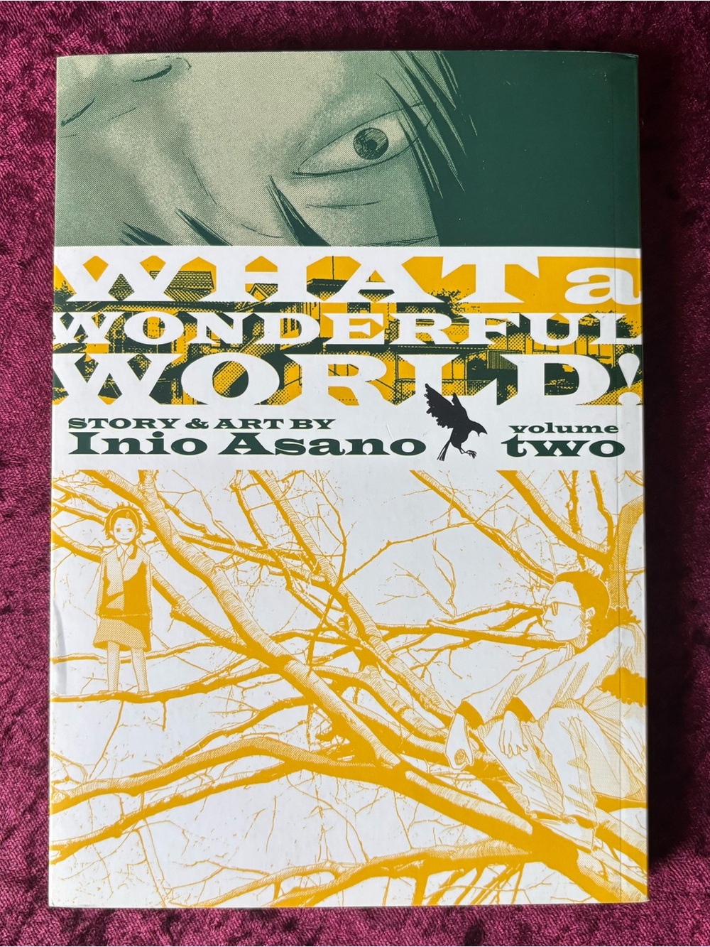 What a Wonderful World! Vol. 2 Manga